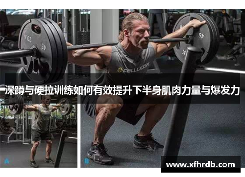 深蹲与硬拉训练如何有效提升下半身肌肉力量与爆发力