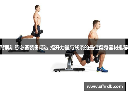 背肌训练必备装备精选 提升力量与线条的最佳健身器材推荐